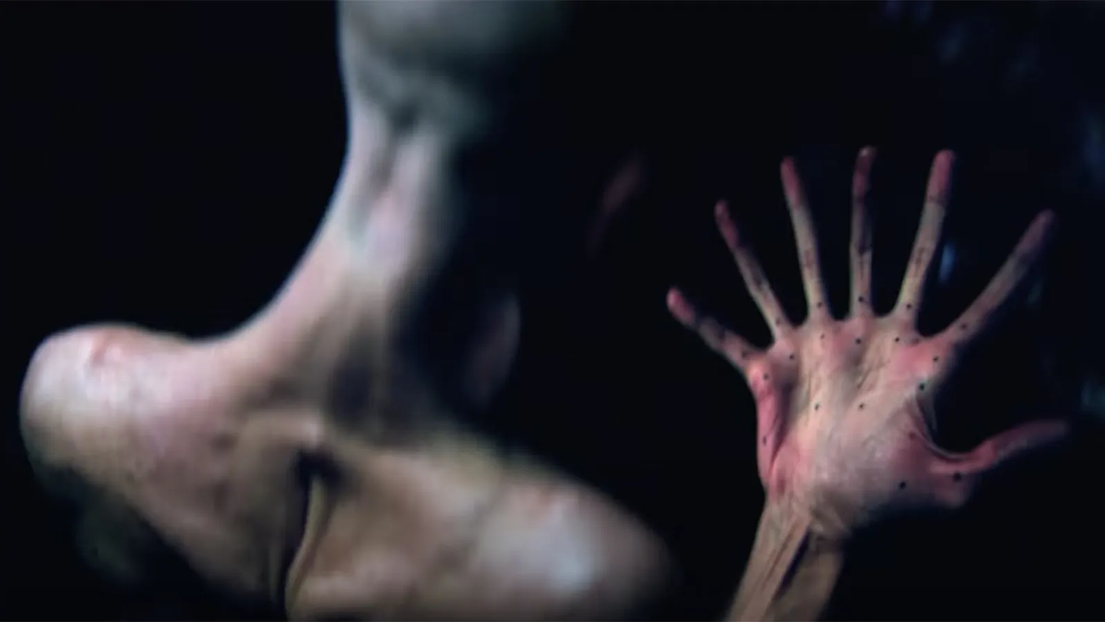 Organic sculpture and film art by Dominic Hailstone