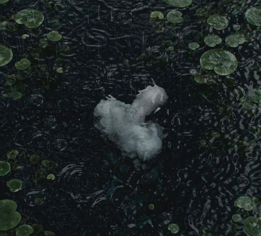 Photo-surreal CGI by Landis Tanaka